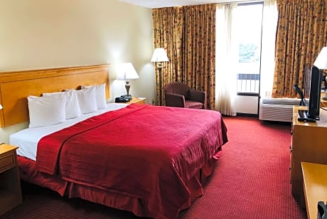 1 King Bed Non-Smoking