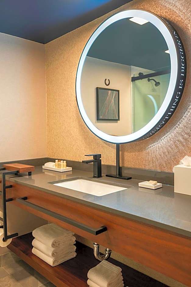 Renaissance by Marriott Dallas Addison Hotel