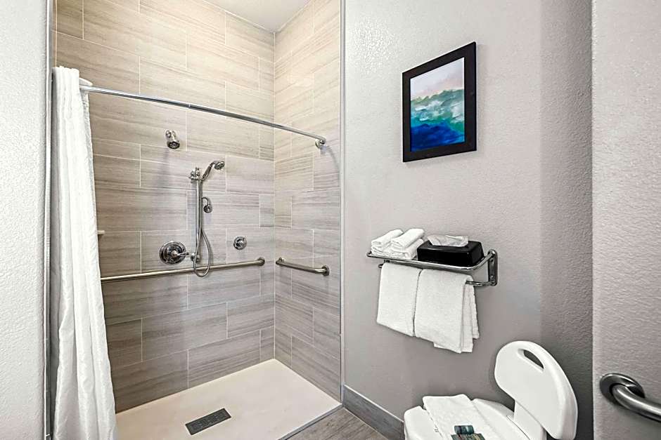 Best Western Palace Inn & Suites