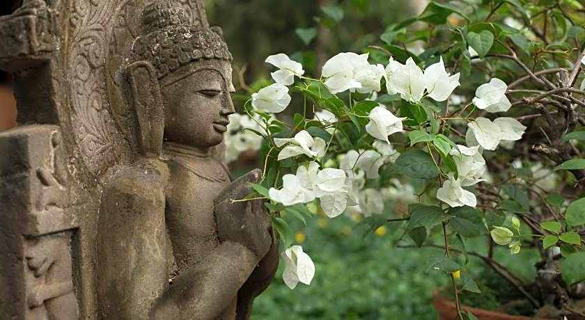 Somatheeram Ayurveda Village