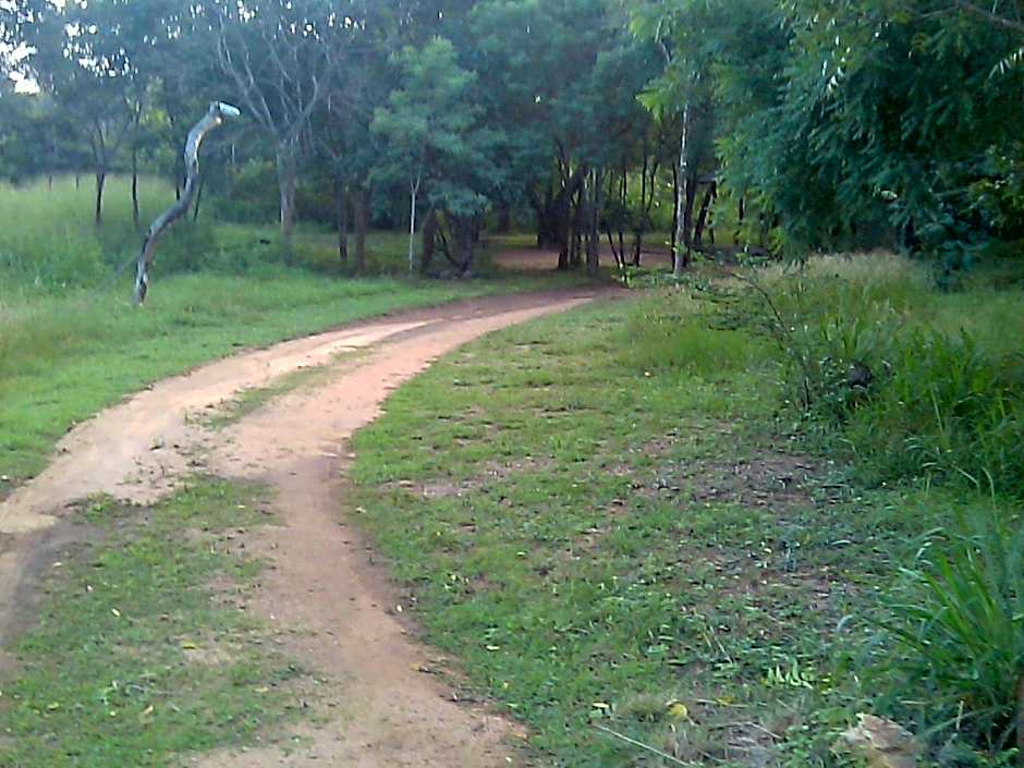 Eagle's Wings Guest House