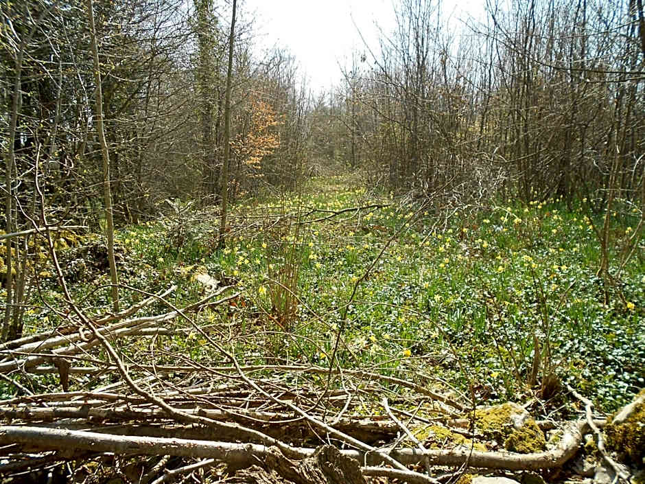 Le relais des deux tours