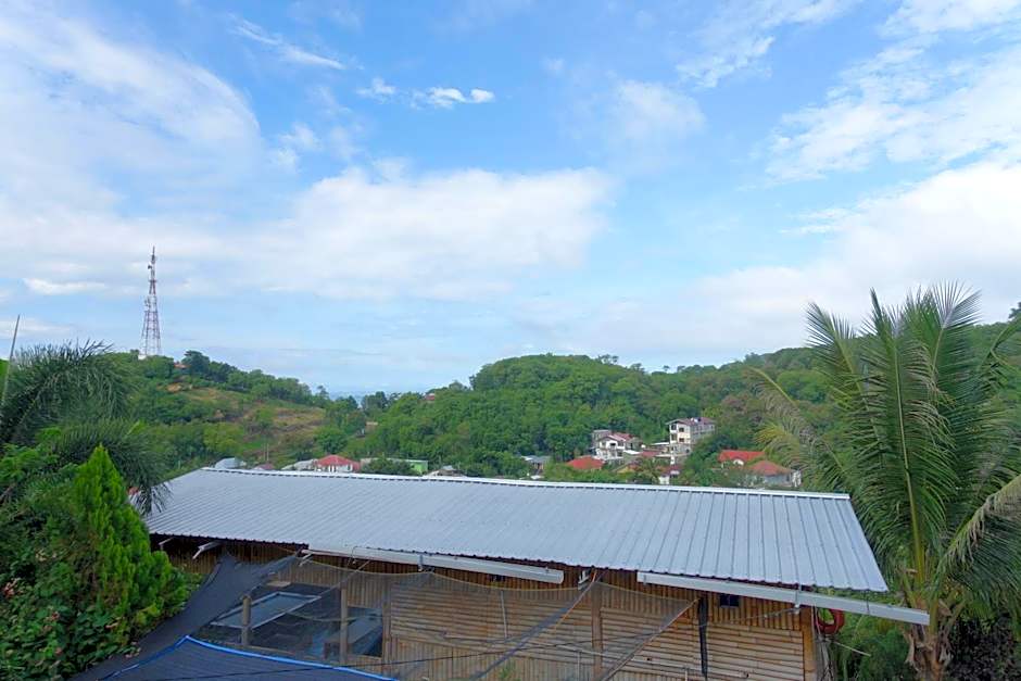 Tarsan Homestay