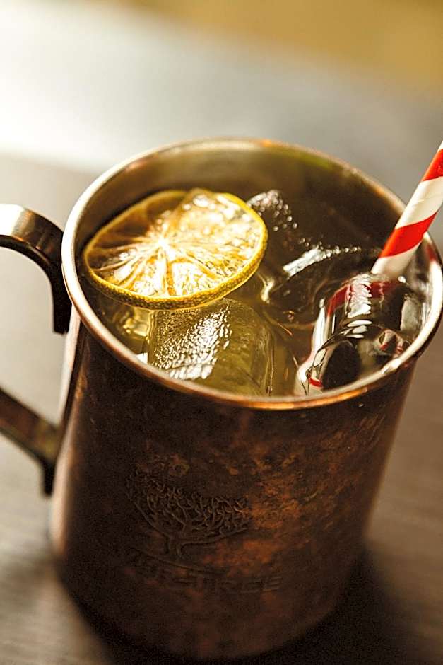 Icelandair Hotel Hamar