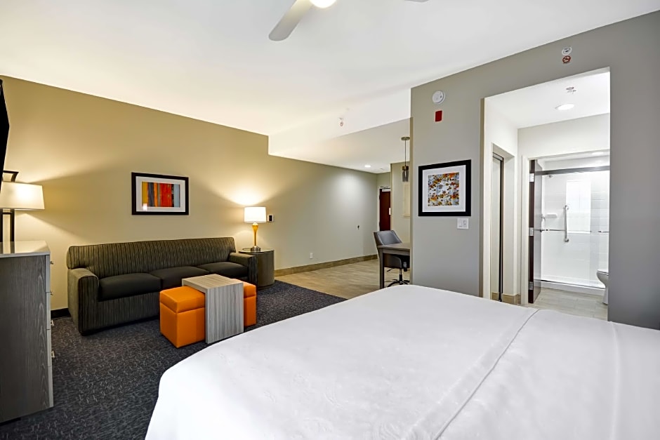 Photo 1 of 8 of Studio 1 King Bed Suite, Hearing/Mobility Accessible, Roll in Shower