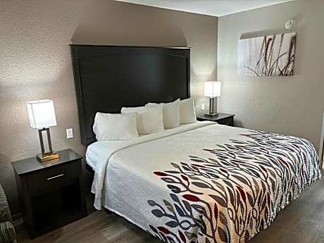 Superior King Room Non-Smoking