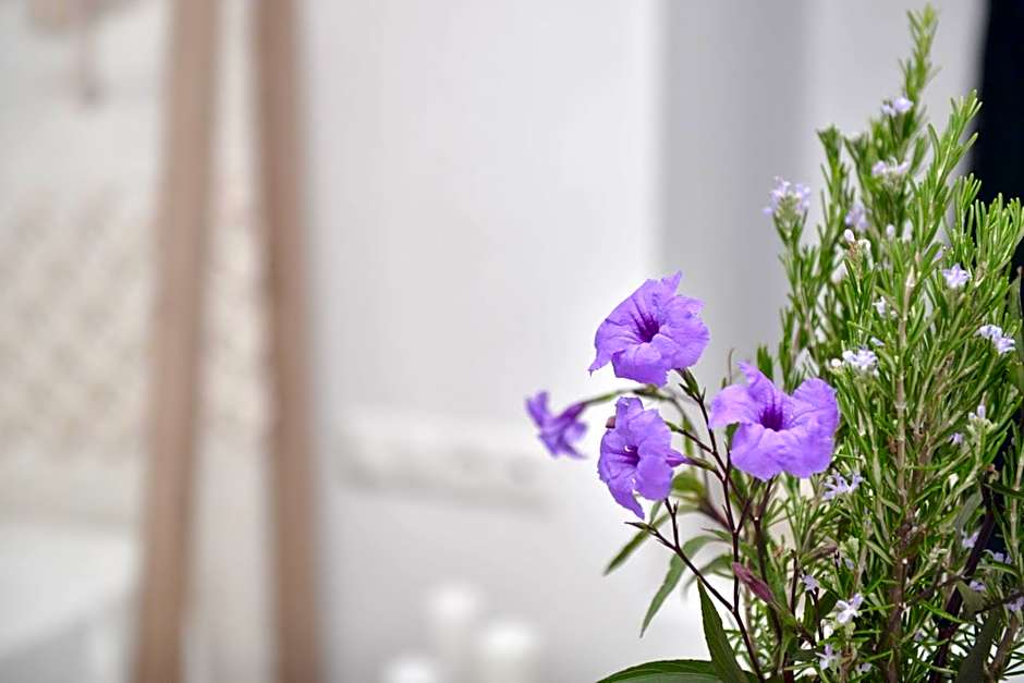 Blue Paradise Apartments