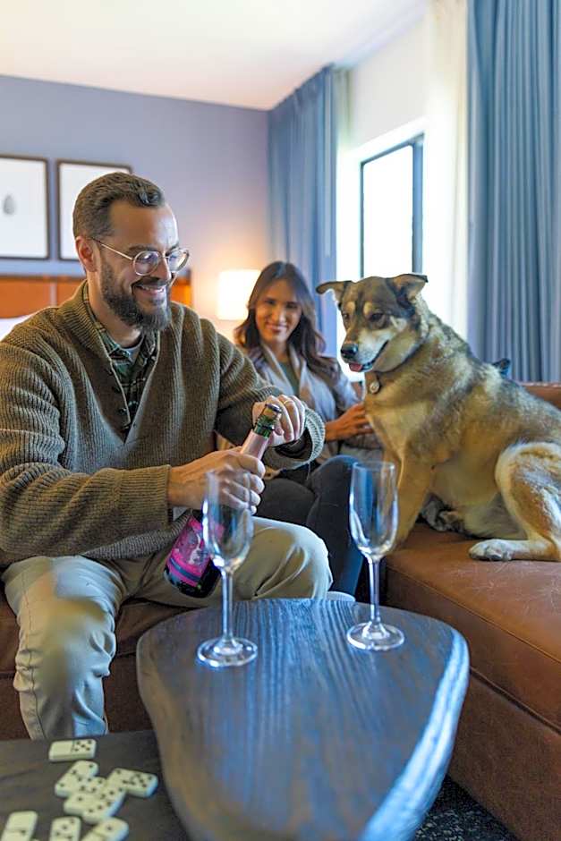 Martis Valley Lodge Tapestry Collection by Hilton