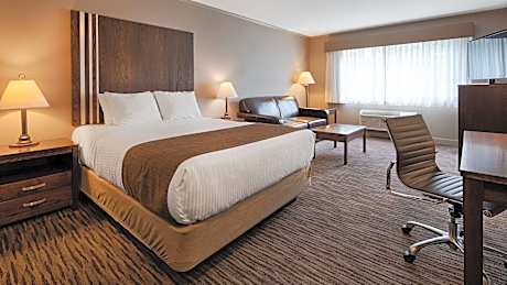 1 King Bed, Non-Smoking, Wireless High-Speed Internet, Refrigerator, Coffee Maker, Hairdryer, Iron A