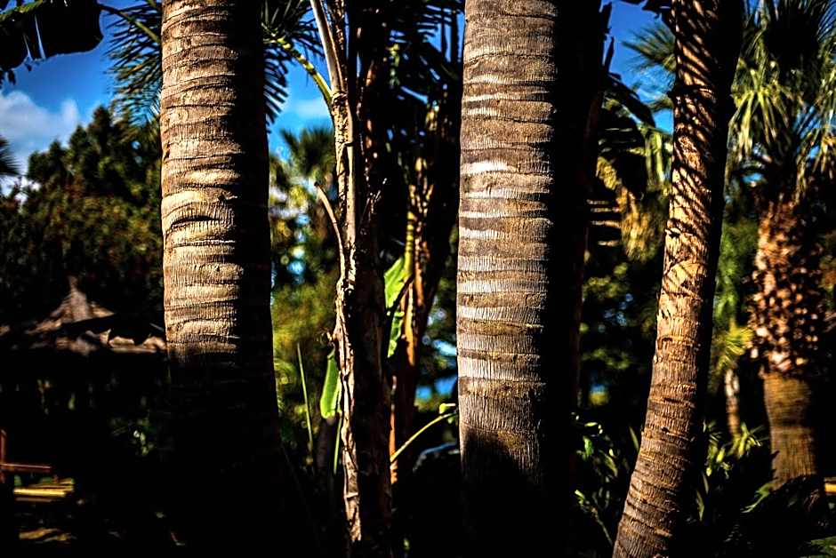 Chillout Hotel Tres Mares