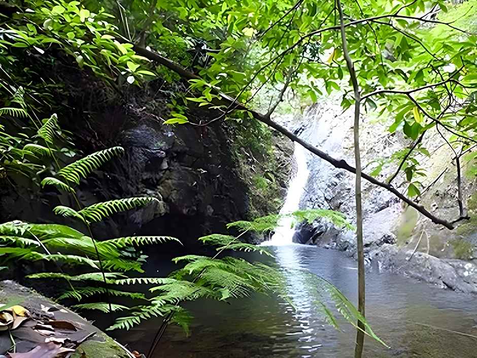 The Mangrove Hideaway Koh Chang