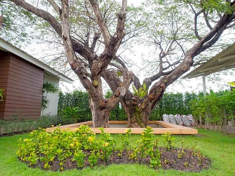 Baan Kula Mahasarakam