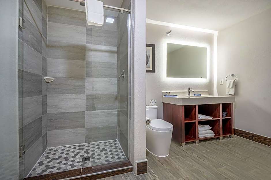 The Leo Collection Detroit, an Ascend Collection Hotel