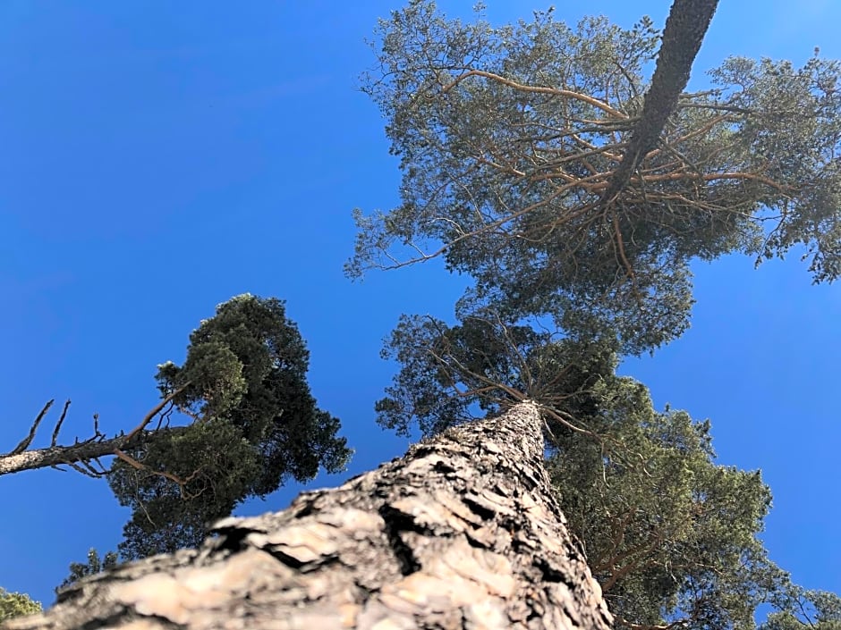 Pràcatinat Hotel & Restaurant