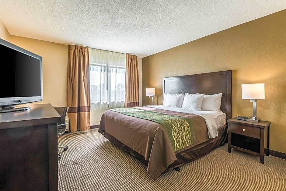 Comfort Inn Detroit Downtown