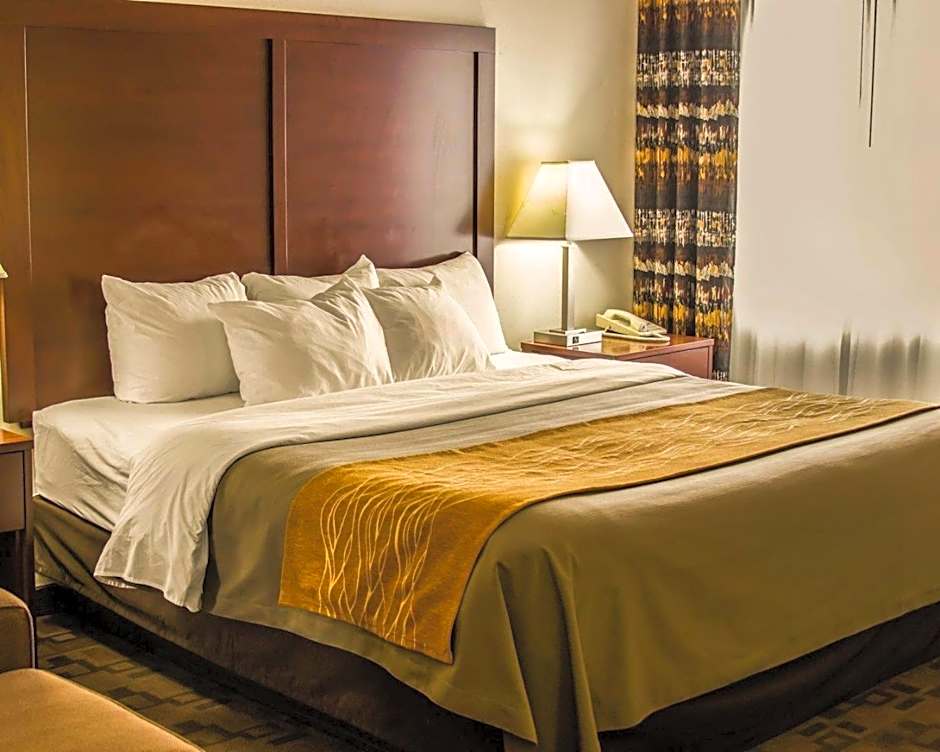 Comfort Inn Birch Run - Frankenmuth