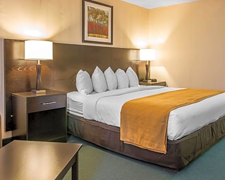 1 King Bed, Business Room, Suite, Nonsmoking