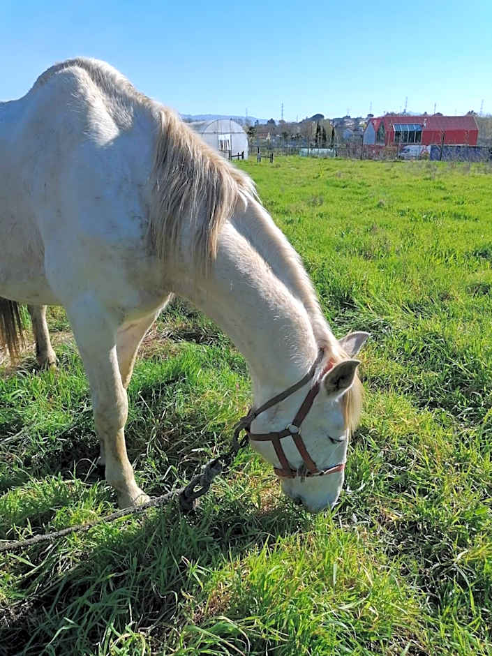 Hotel de Charme Casa Fundevila