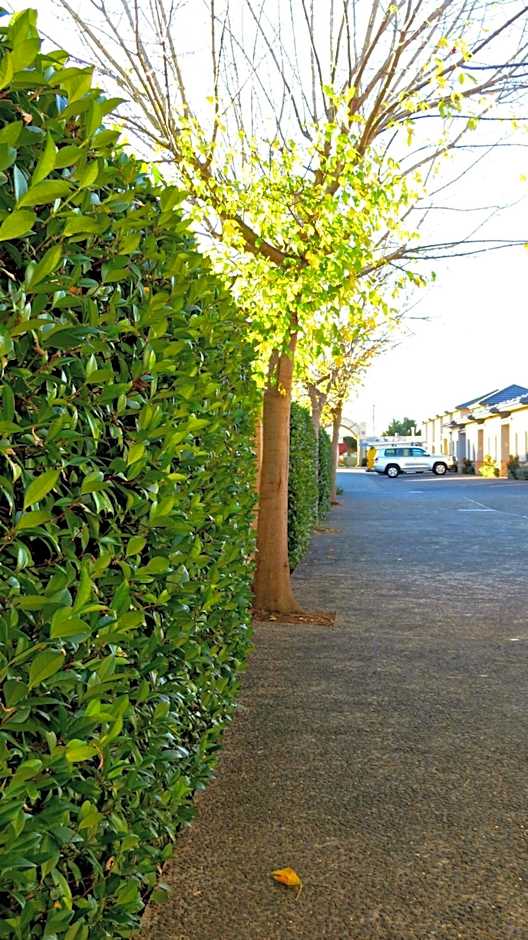 Best Western Plus Goulburn