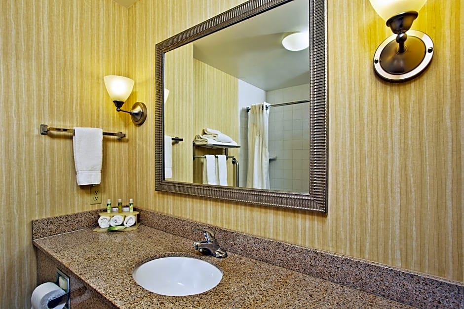 Holiday Inn Express Hotel & Suites Anderson, an IHG Hotel