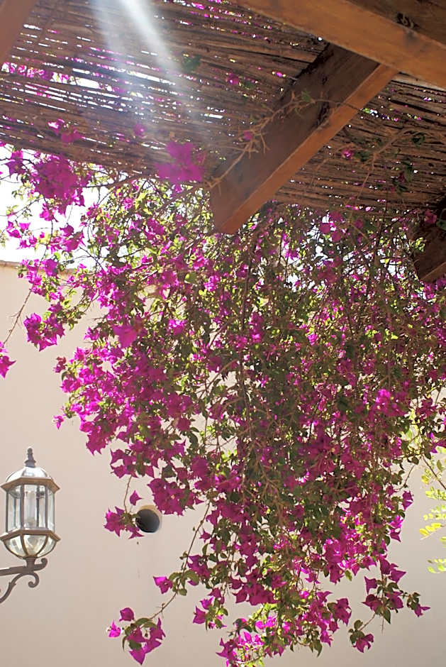 Hotel Mayarí Boutique Hotel