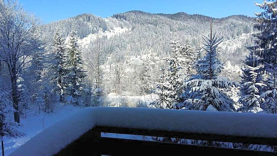 Șoaptele pădurii & Căsuța din pădure
