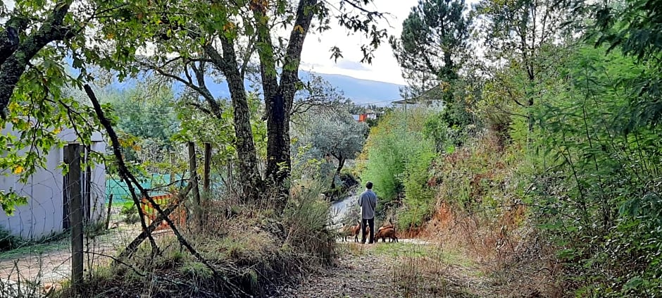 Adore Portugal Bungalow Natureza & Vista de Serra