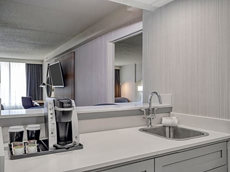 1 King Bed 1 Bedroom Suite
