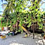 Mustapha' s Place