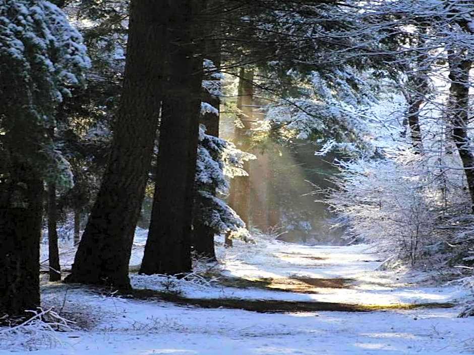 Castle Stay in De Eese with Royal Interiors