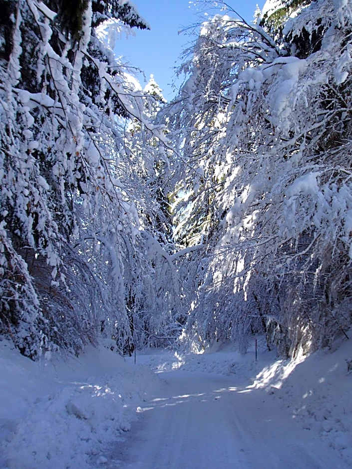 Hotel-Gasthof Strasswirt