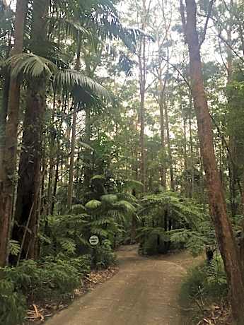 Springbrook Mountain Chalets