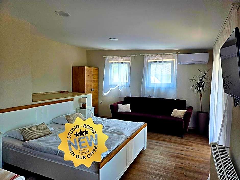 Spa & Pool Apartments Prestige VILLA IVICA