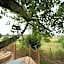 Bulles Odette & Ginette et Tiny House Suzette "Au guet Marais" Etape Insolite