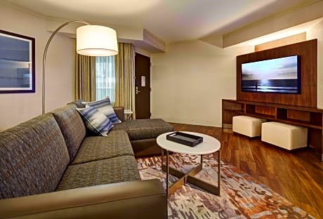 1 King Executive Suite Premium Non-Smoking