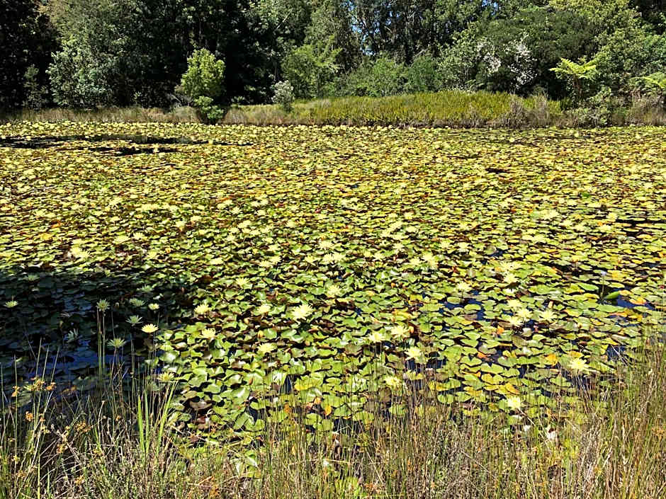 Lily Pond Country Lodge
