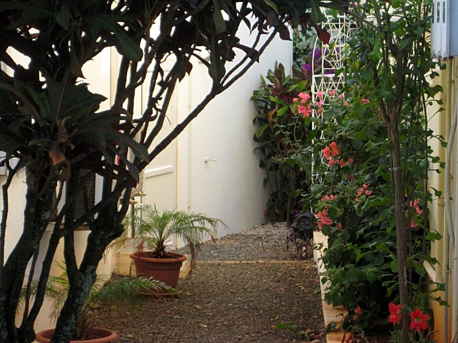 Le Cactus Guest House