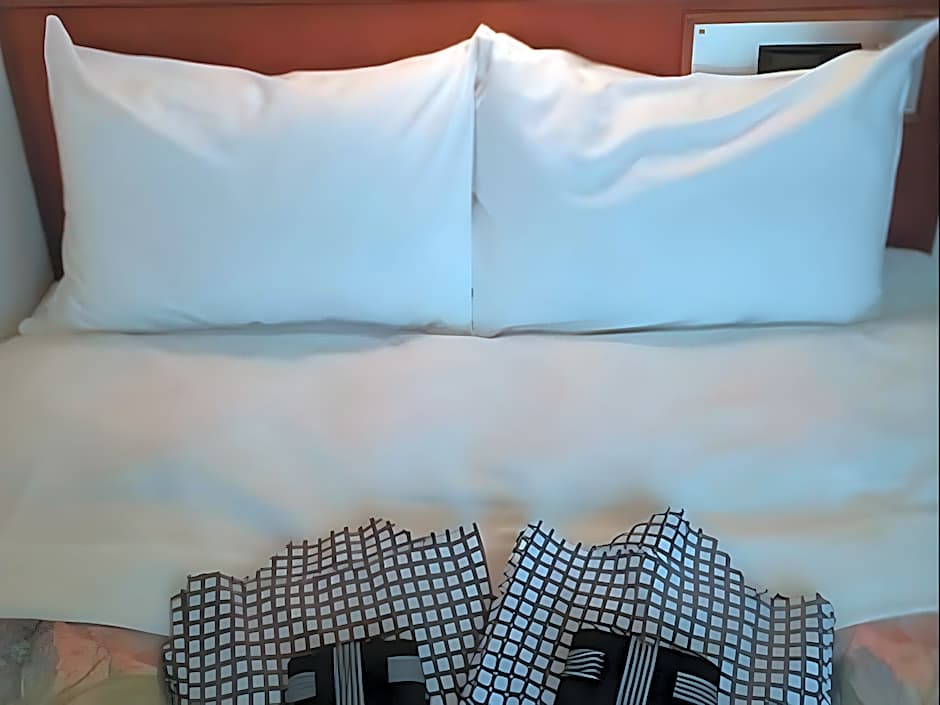 Leo Plaza Hotel