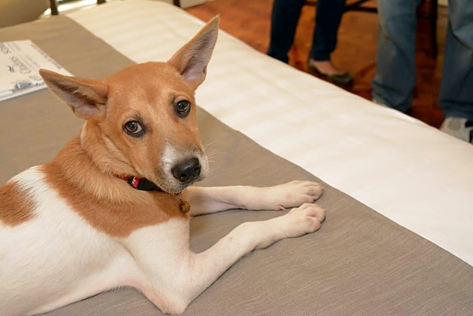 Somerset Olympia Makati