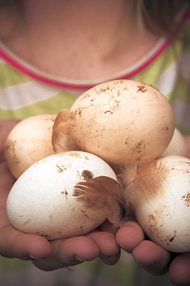 Three Tree Hill Lodge