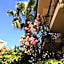Villa Danlin Hotel
