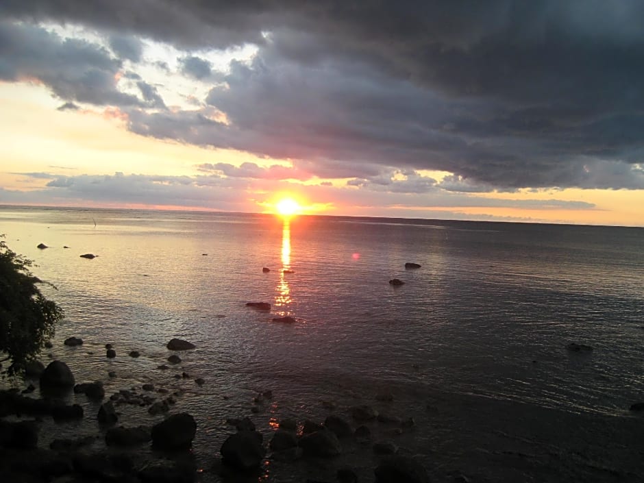 Le Cactus Guest House