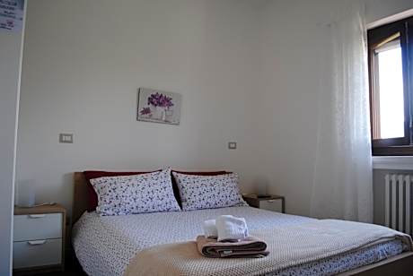 King Room with Garden View