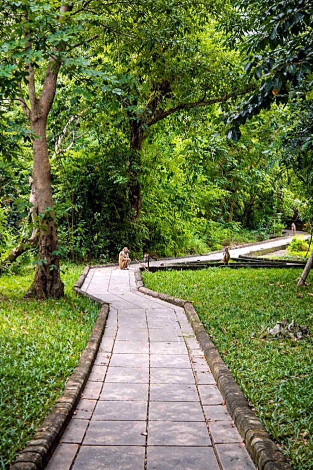 Selous Kinga Lodge