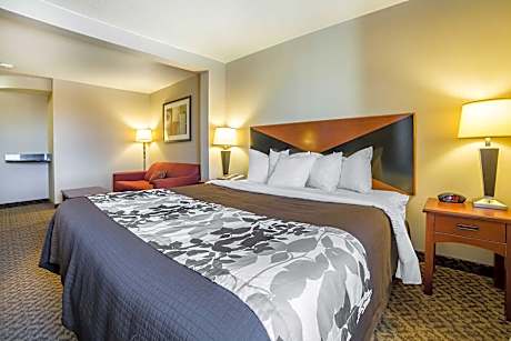 1 King Bed, Nonsmoking