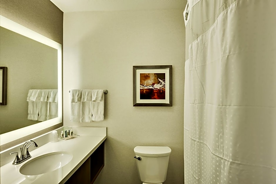 Holiday Inn St. George Convention Center, an IHG Hotel