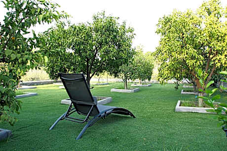 DOMUS ULIVI LUXURY ROOMS Moresca