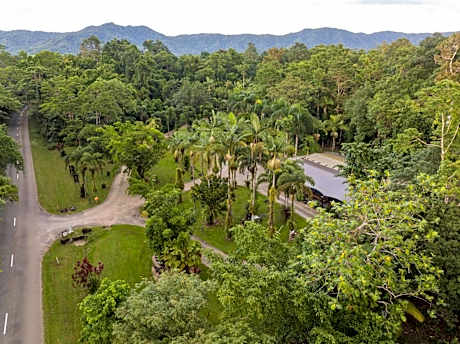 Daintree Siesta
