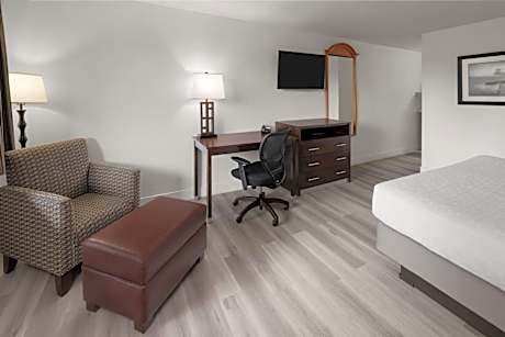 1 King Bed Non-Smoking