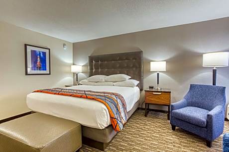Superior King Room with Sofa Bed
